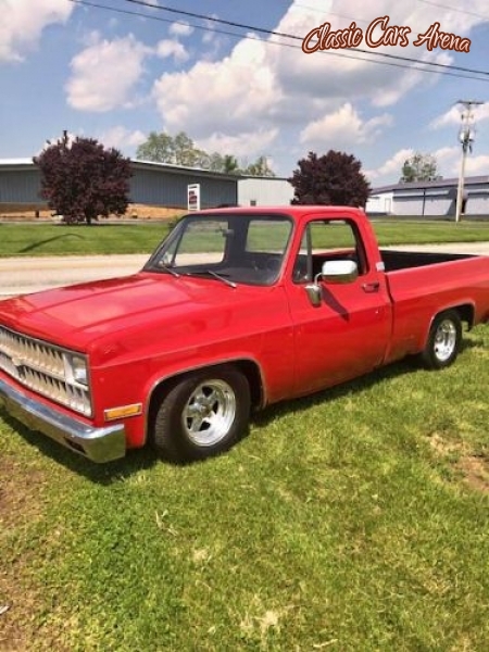 1981 Chevrolet C10 for sale in Ohio (ID-73030)