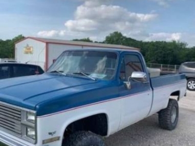 1981 Chevrolet Silverado for sale