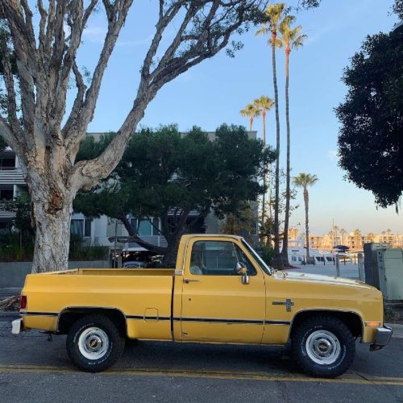 1981 Chevrolet C10 for sale in California (ID-85745)