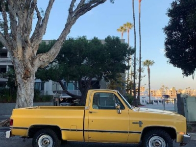1981 Chevrolet C10 for sale