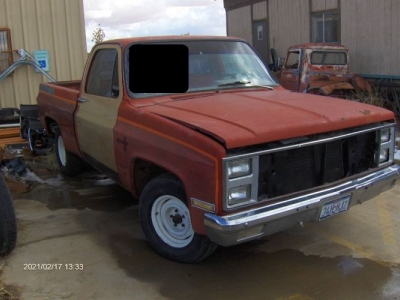 1981 Chevrolet C10 for sale