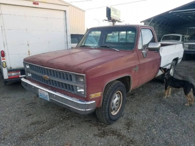 1981 Chevrolet C20 for sale