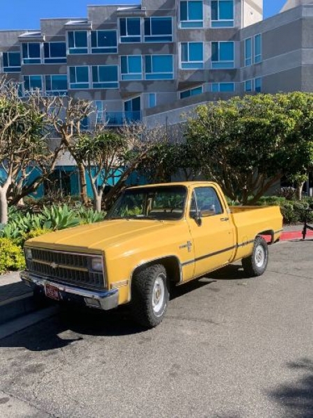 1981 Chevrolet C10 for sale in Michigan (ID-89522)