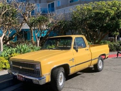 1981 Chevrolet C10 for sale