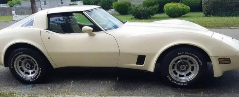 1981 Chevrolet Corvette for sale in Michigan (ID-93119)
