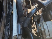 1981 Chevrolet Corvette for sale in Michigan (ID-93119)