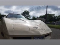 1981 Chevrolet Corvette for sale in Michigan (ID-93119)