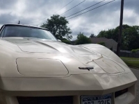 1981 Chevrolet Corvette for sale in Michigan (ID-93119)