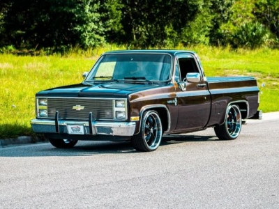 1981 Chevrolet C10 for sale