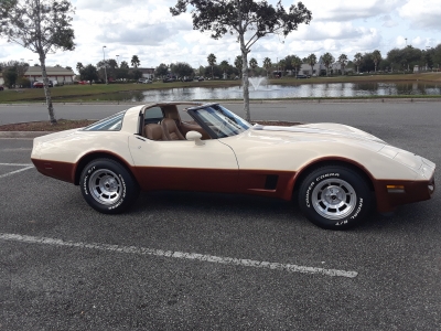 1981 Chevrolet Corvette Stingray for sale