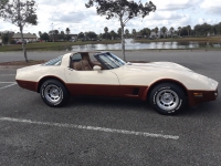 1981 Chevrolet Corvette Stingray for sale in Jacksonville, Florida (ID-107618)