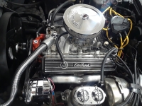 1981 Chevrolet Corvette Stingray for sale in Jacksonville, Florida (ID-107618)