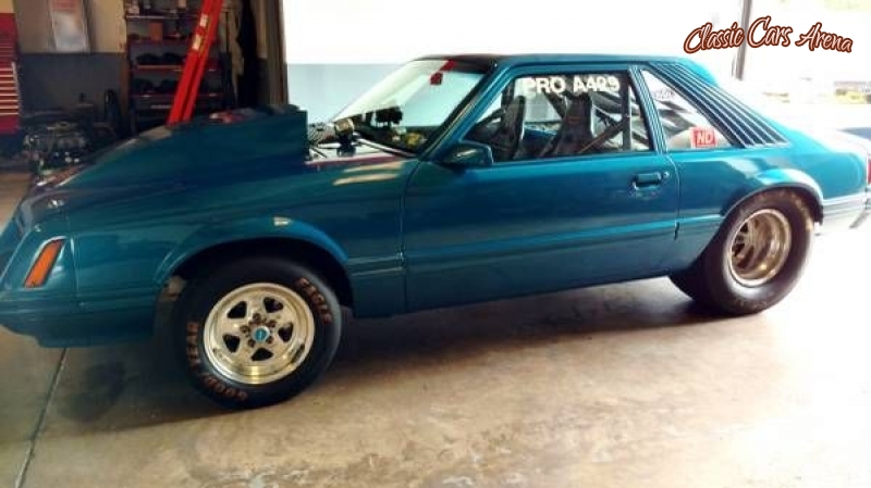 1981 Ford Mustang for sale in Michigan (ID-74896)
