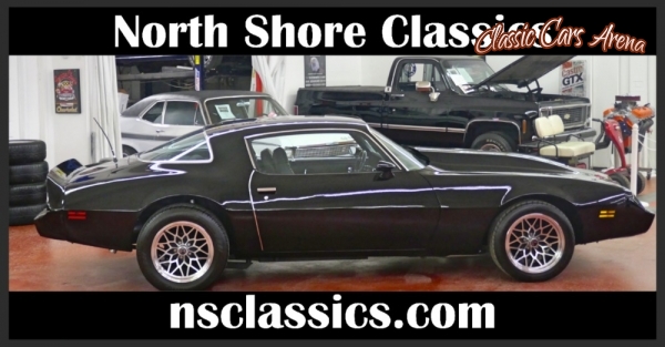 1981 Pontiac Firebird for sale in Mundelein, Illinois (ID-25039)