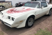 1981 Pontiac Trans Am for sale