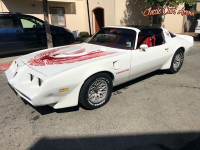 1981 Pontiac Trans Am for sale