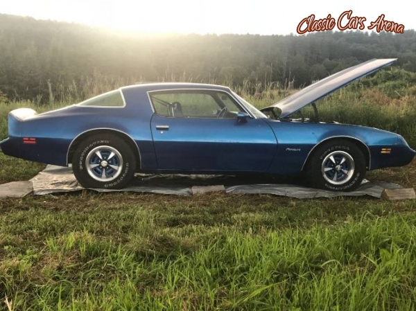 1981 Pontiac Firebird for sale in Michigan (ID-60911) 1981 Pontiac Firebird for sale in Michigan (ID-60911)