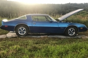 1981 Pontiac Firebird for sale