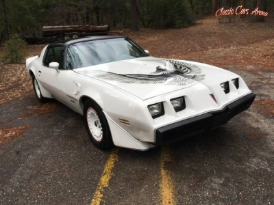 1981 Pontiac Firebird for sale