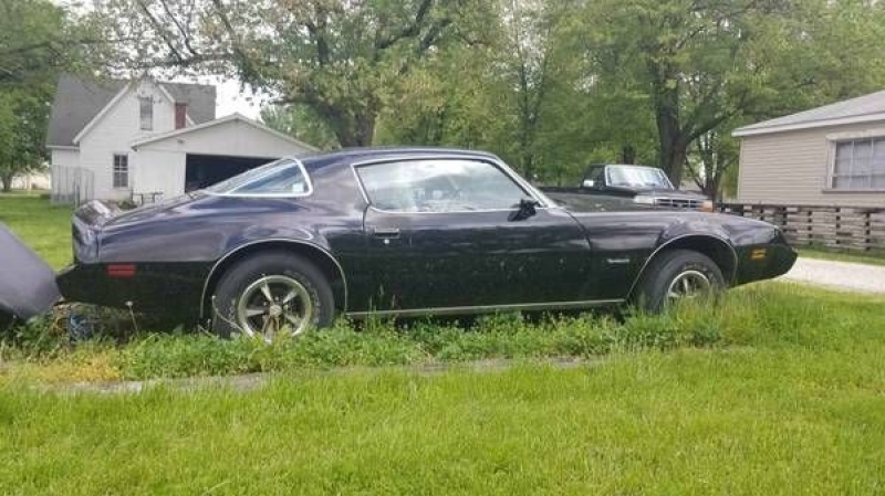 1981 Pontiac Firebird for sale in Michigan (ID-81331)