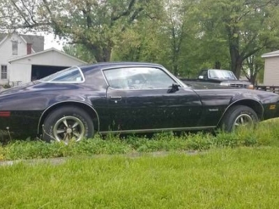 1981 Pontiac Firebird for sale