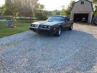 1981 Pontiac Trans Am for sale