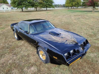 1981 Pontiac Trans Am for sale