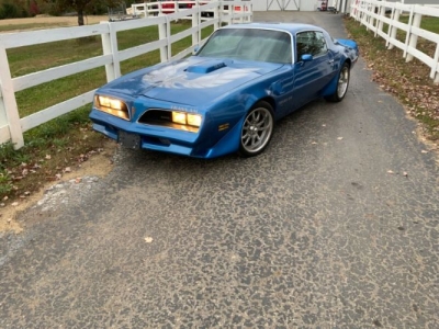1981 Pontiac Trans Am for sale