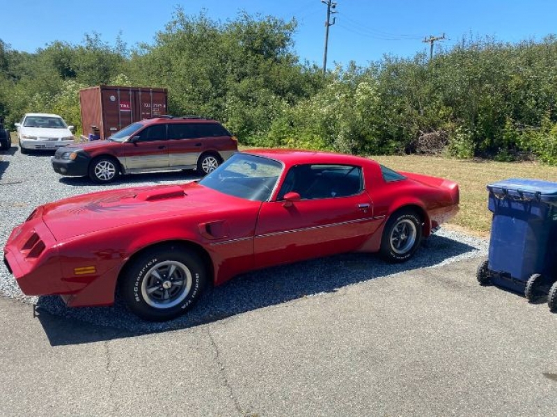 1981 Pontiac Trans Am for sale in Michigan (ID-89502)