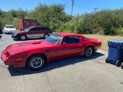 1981 Pontiac Trans Am for sale