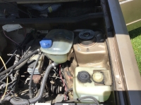 1981 Volkswagen Rabbit for sale in Dover, Delaware (ID-142257)