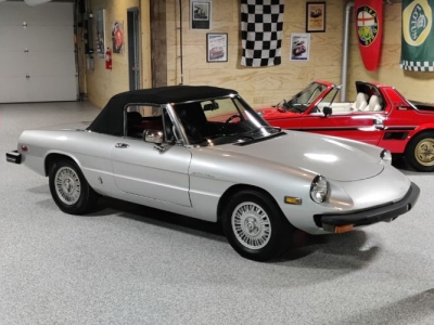 1981 Alfa Romeo Spider Veloce for sale