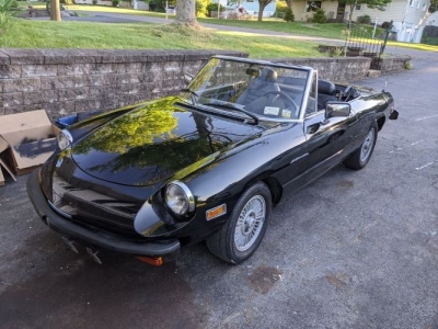 1981 Alfa Romeo Spider Veloce for sale