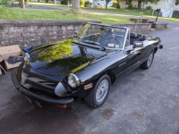 1981 Alfa Romeo Spider Veloce for sale in Michigan (ID-135075)