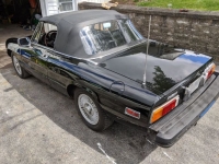1981 Alfa Romeo Spider Veloce for sale in Michigan (ID-135075)