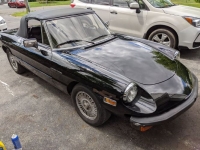 1981 Alfa Romeo Spider Veloce for sale in Michigan (ID-135075)
