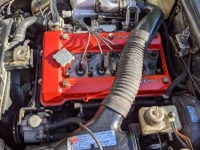 1981 Alfa Romeo Spider Veloce for sale in Michigan (ID-135075)