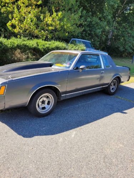 1981 Buick Regal for sale in Michigan (ID-107184)