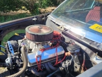 1981 Buick Regal for sale in Michigan (ID-107184)