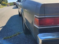 1981 Buick Regal for sale in Michigan (ID-107184)