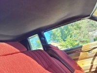 1981 Buick Regal for sale in Michigan (ID-107184)