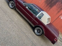 1981 Buick Regal for sale in Michigan (ID-109618)