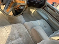 1981 Buick Regal for sale in Michigan (ID-109618)