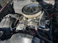 1981 Buick Regal for sale in Michigan (ID-123464)