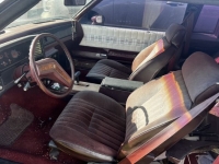 1981 Buick Regal for sale in Michigan (ID-123464)