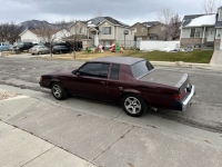 1981 Buick Regal for sale in Michigan (ID-123464)