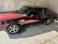 1981 Buick Regal for sale in Michigan (ID-123464)