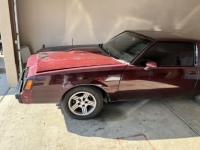 1981 Buick Regal for sale in Michigan (ID-123464)