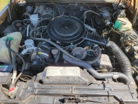 1981 Buick Riviera for sale in Michigan (ID-123197)