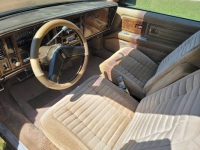 1981 Buick Riviera for sale in Michigan (ID-123197)